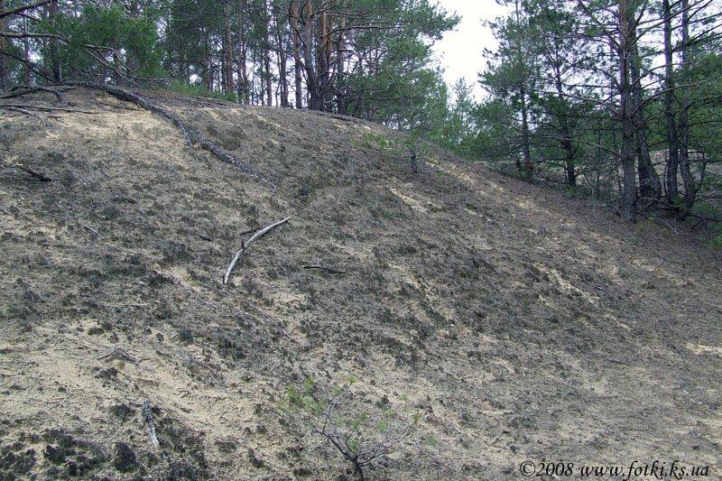 Раденськ з panoramio.com - Раденск