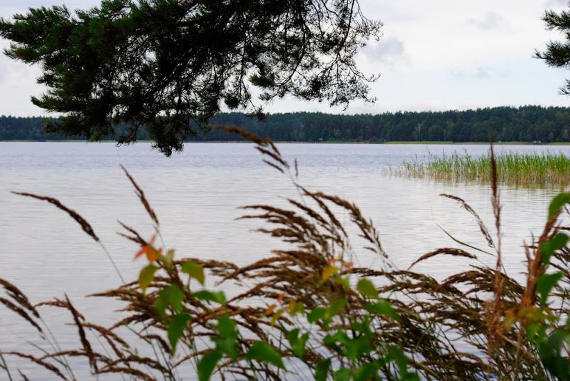 Рудка з panoramio.com - Рудка