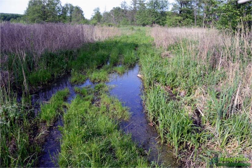 Яблучне з panoramio.com - Яблочное