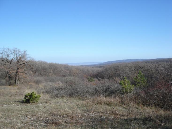 Овражки з panoramio.com - Овражки