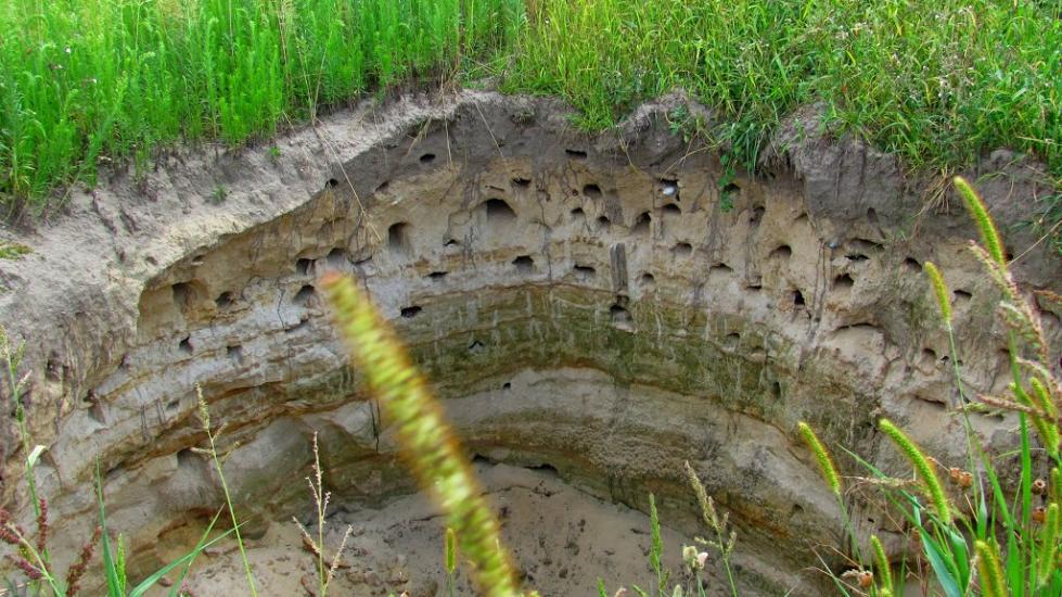 Кураш з panoramio.com - Кураш