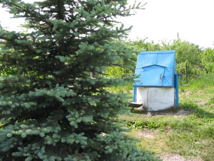 Циркуни з panoramio.com - Циркуны