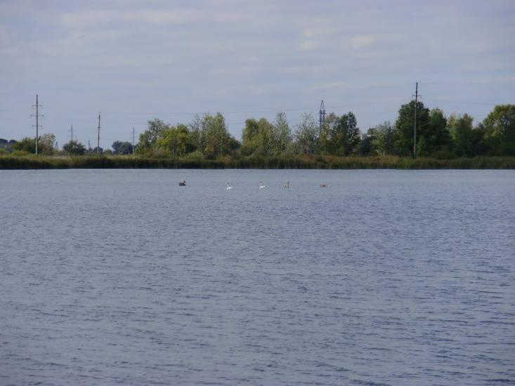 Минівка з panoramio.com - Минівка