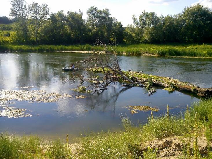 Студенок з panoramio.com - Студенок