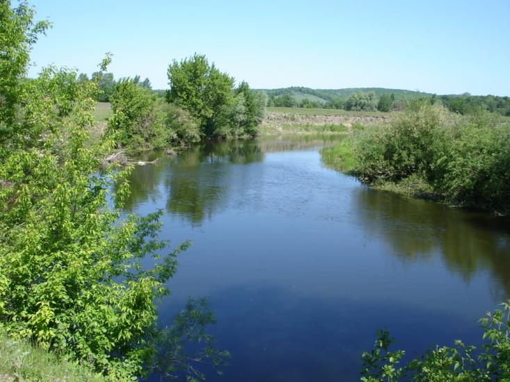 Велика Рибиця з panoramio.com - Velyka Rybytsya