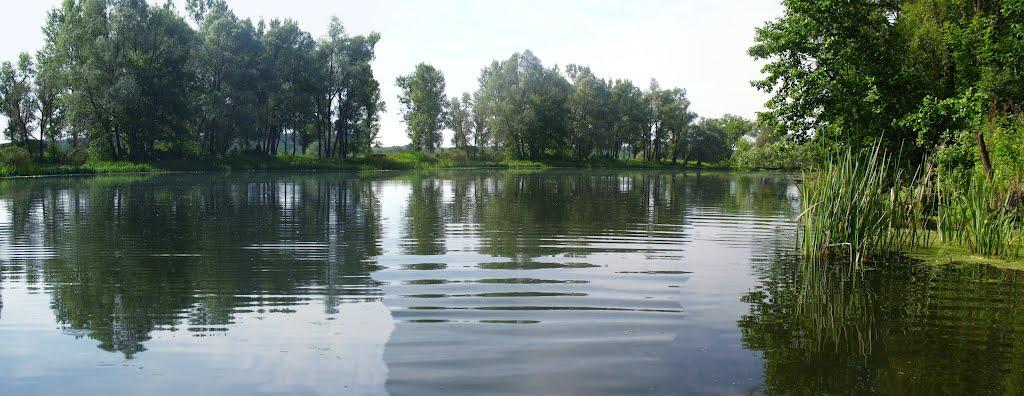 Приліпка з panoramio.com - Прилипка