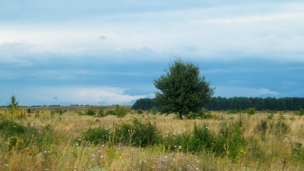 Верхня Мануйлівка з panoramio.com - Верхня Мануйлівка