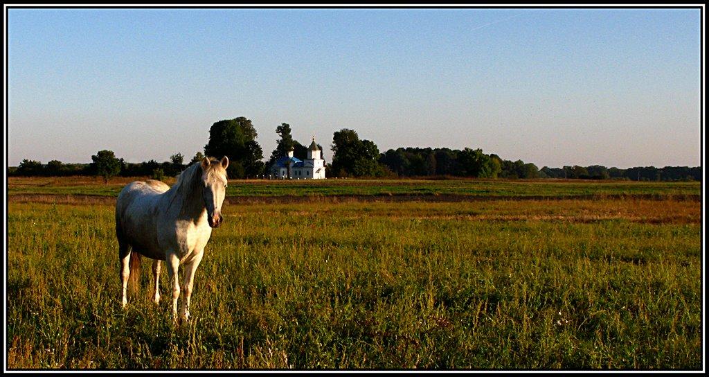 Литовеж з panoramio.com - Литовеж
