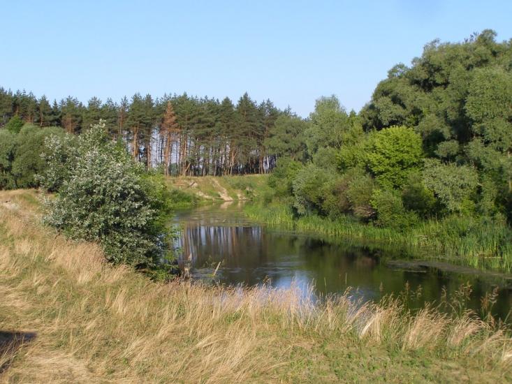 Велика Чернеччина з panoramio.com - Велика Чернеччина