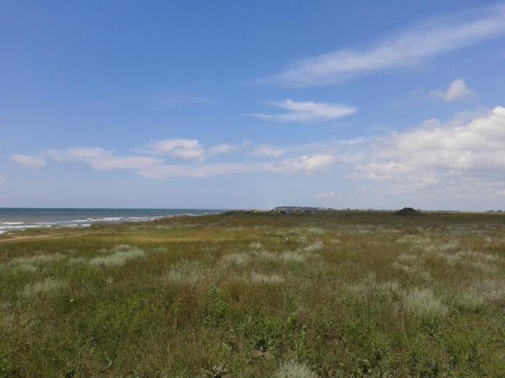 Більшовик з panoramio.com - Большевик