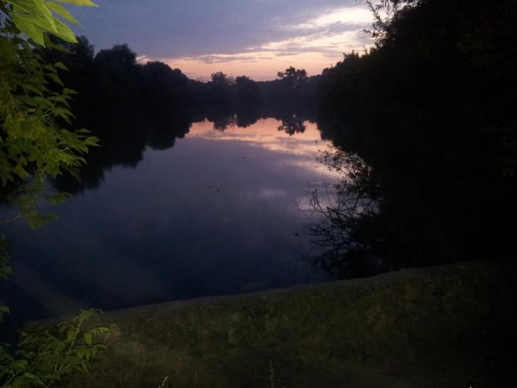 Ріпна з panoramio.com - Ріпна