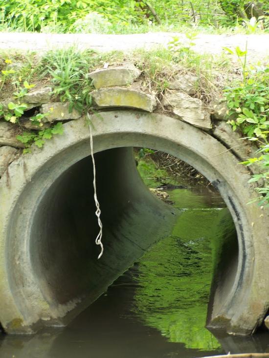 Лозова з panoramio.com - Лозова