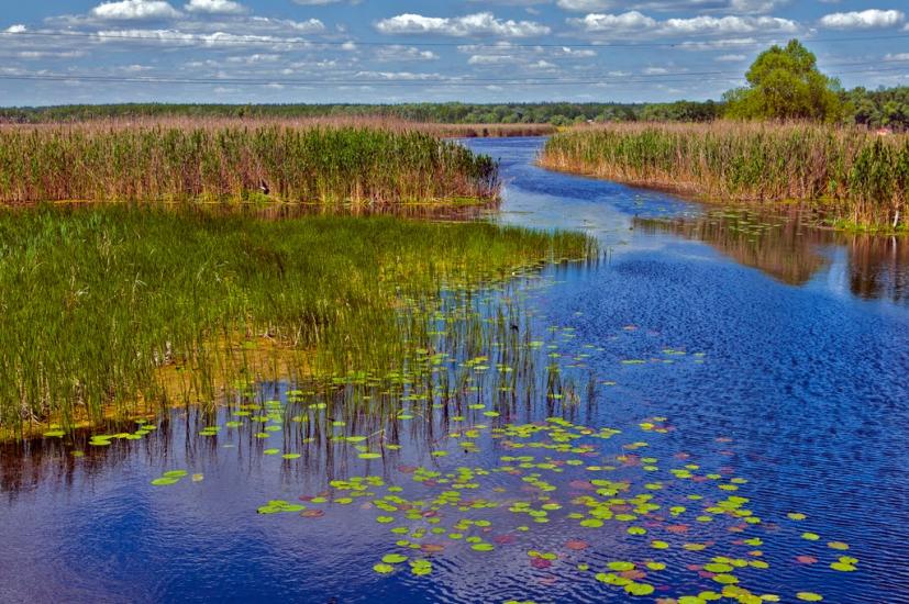 Миргороди з panoramio.com - Миргороды