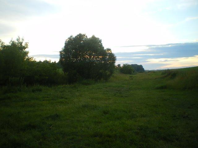 Черепашинці з panoramio.com - Черепашинці