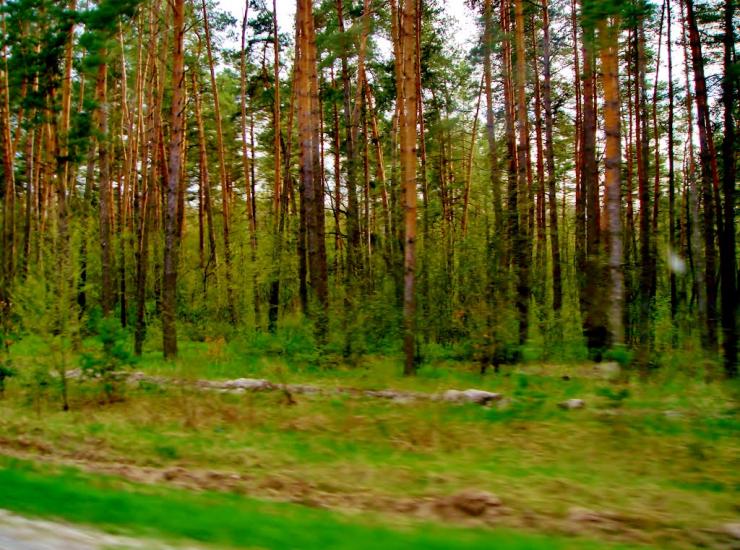 Тараща з panoramio.com - Тараща