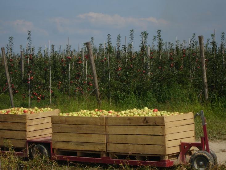 Гать з panoramio.com - Гать