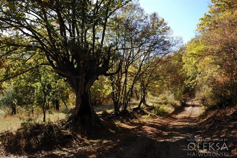 Багата Ущелина з panoramio.com - Bagata Uschelyna