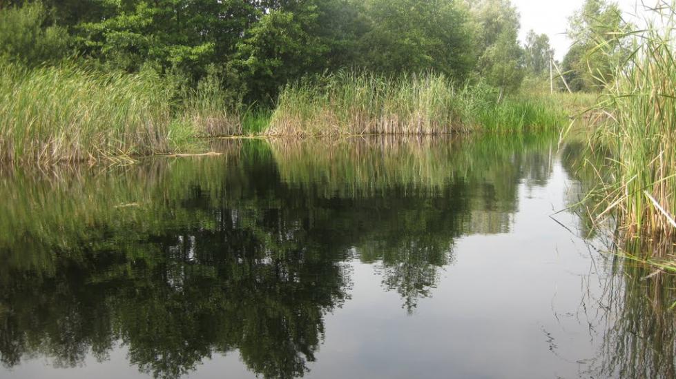 Велимче з panoramio.com - Велимче