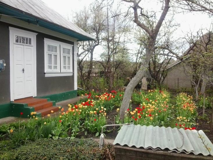 Подвір'ївка з panoramio.com - Подворьевка