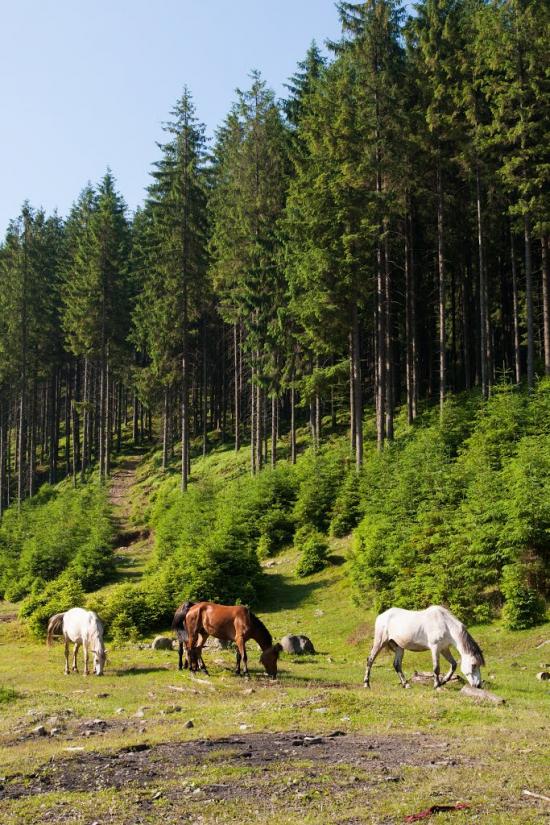 Загорб з panoramio.com - Загорб