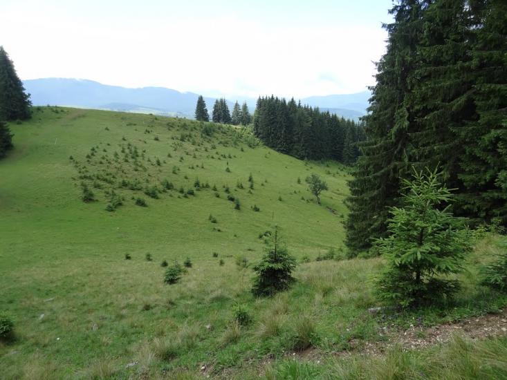 Кривопілля з panoramio.com - Kryvopillya