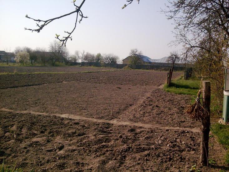 Ставки з panoramio.com - Ставки