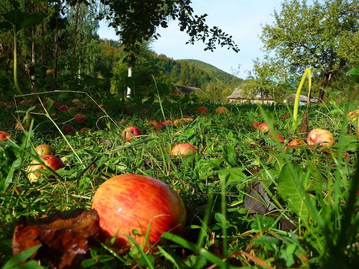 Брустурів з panoramio.com - Брустуров