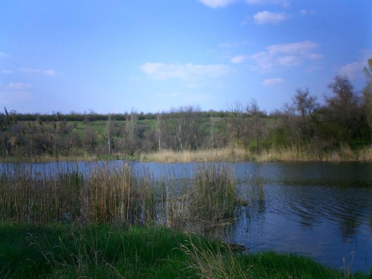 Орджонікідзе з panoramio.com - Орджоникидзе