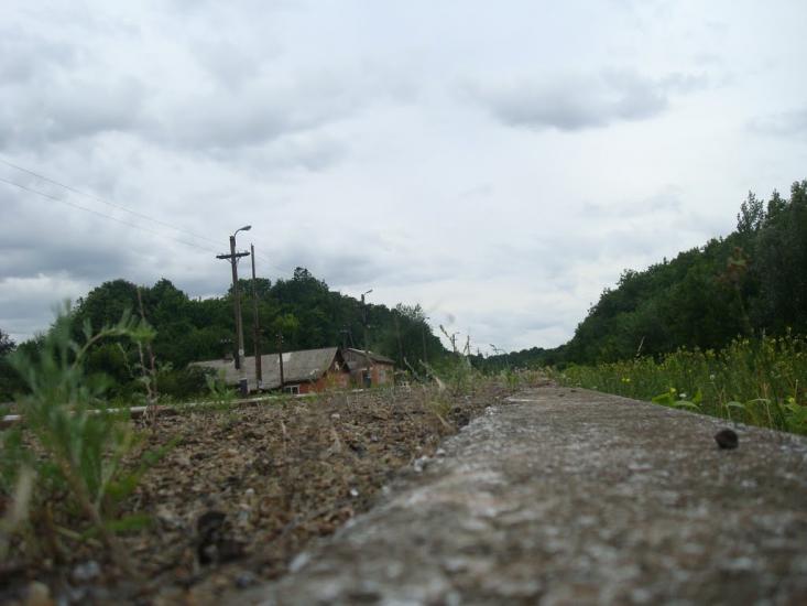 Іванківці з panoramio.com - Ivankivtsi