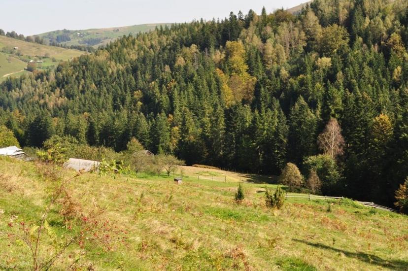 Черетів з panoramio.com - Черетов