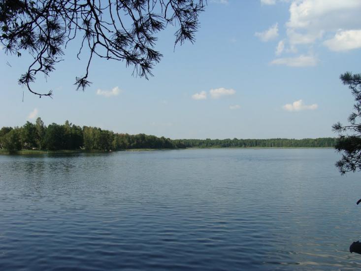 Острівськ з panoramio.com - Островск