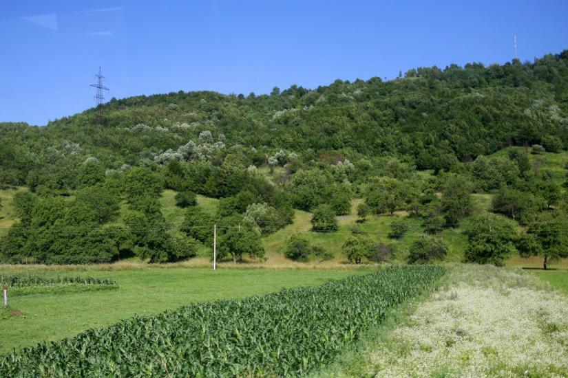 Драчино з panoramio.com - Драчино