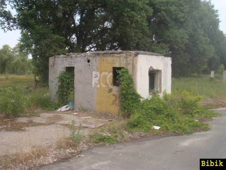 Пилява з panoramio.com - Пилява