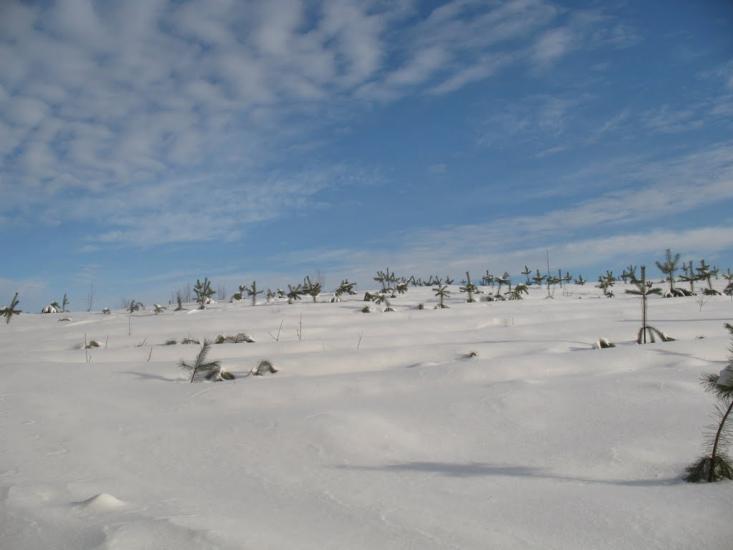 Зазим'я з panoramio.com - Зазимье