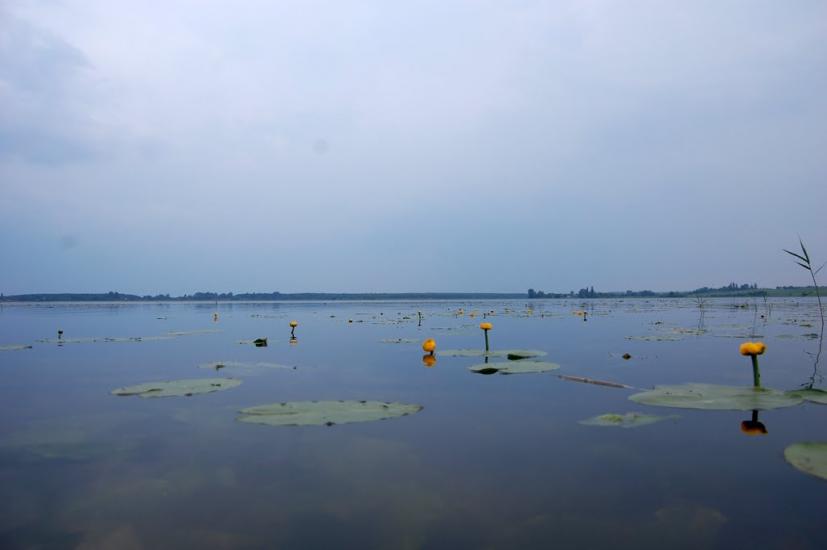 Боремель з panoramio.com - Боремель