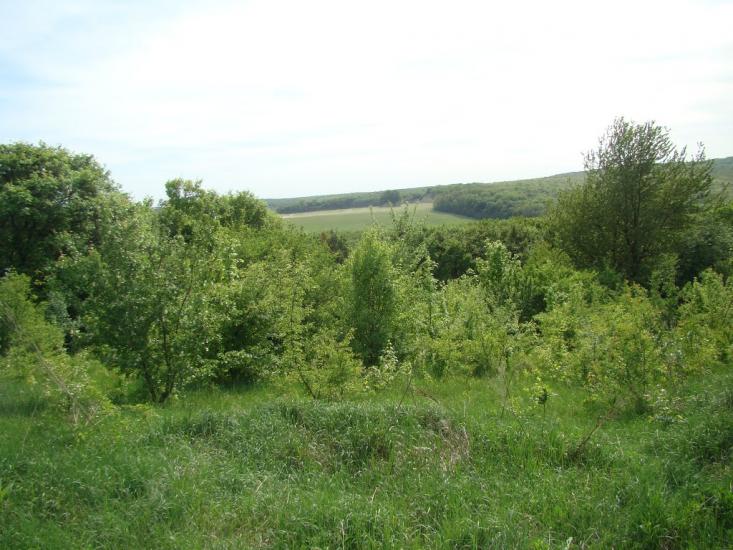 Іванківці з panoramio.com - Иванковцы