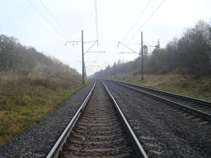 Рідкодуби з panoramio.com - Редкодубы