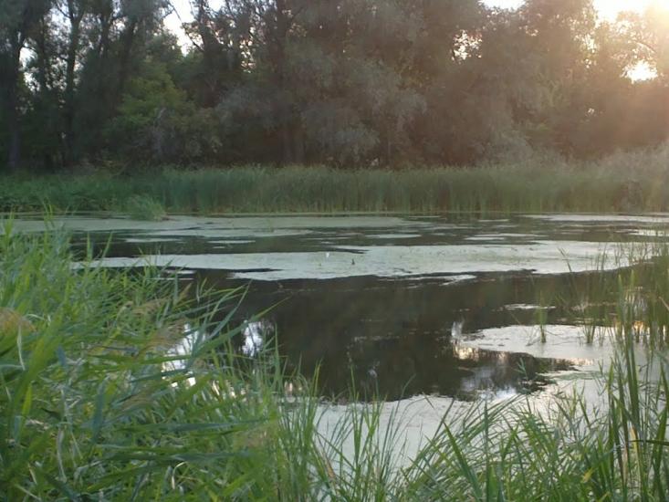 Шульгинка з panoramio.com - Шульгинка