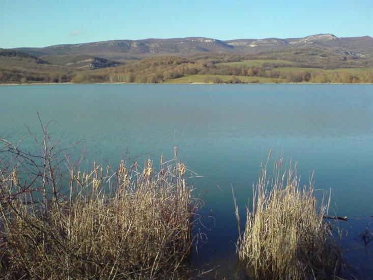 Новобобрівське з panoramio.com - Новобобровское