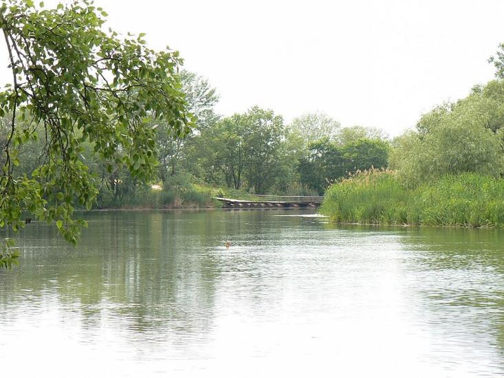 Стародубівка з panoramio.com - Стародубовка