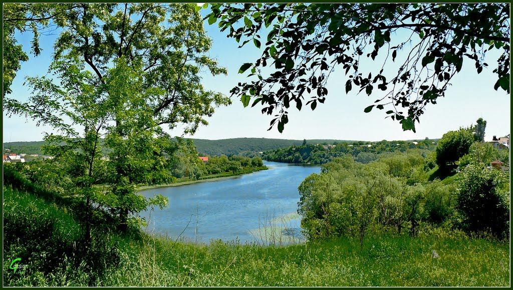 Прибузьке з panoramio.com - Прибугское