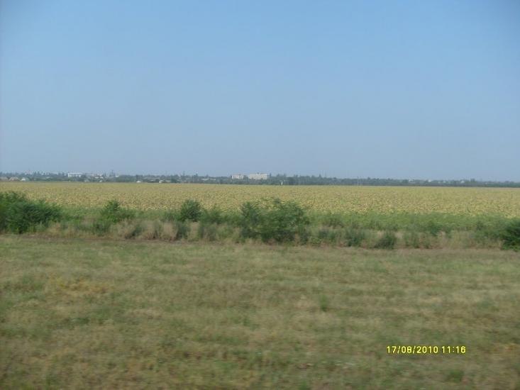 Фруктове з panoramio.com - Фруктове