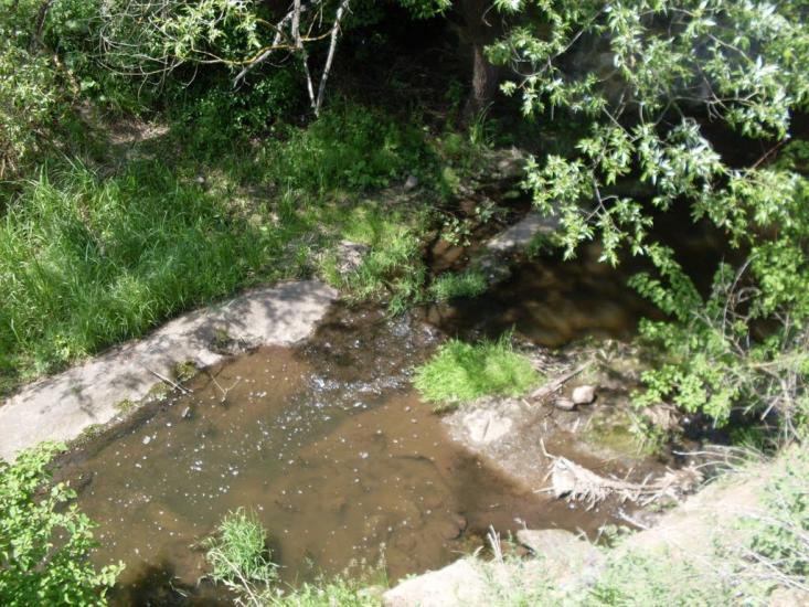 Кунка з panoramio.com - Кунка