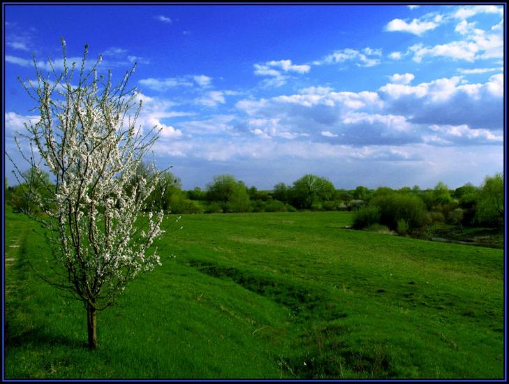 Литовеж з panoramio.com - Литовеж