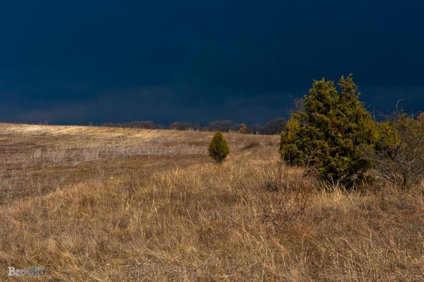 Білокам'яне з panoramio.com - Білокам'яне