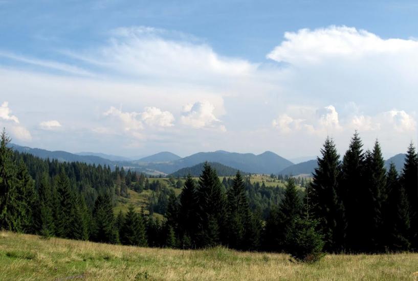 Новоселиця з panoramio.com - Новоселиця