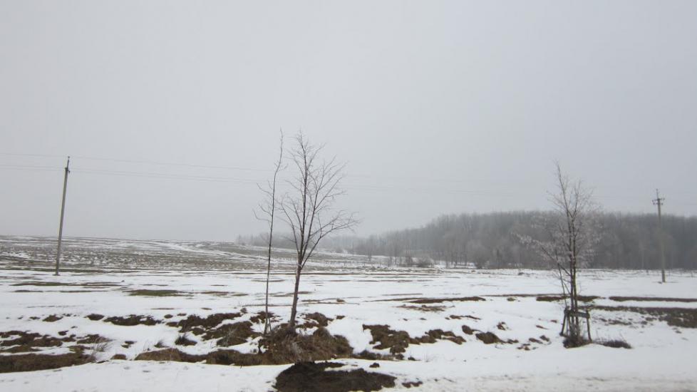 Бабче з panoramio.com - Бабче