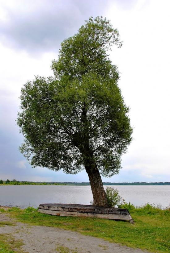 Шацьк з panoramio.com - Шацк
