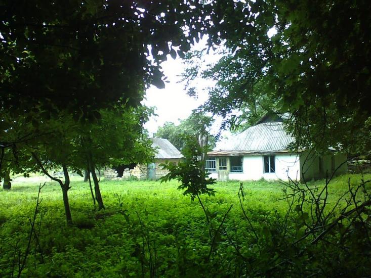 Сатанівка з panoramio.com - Сатановка