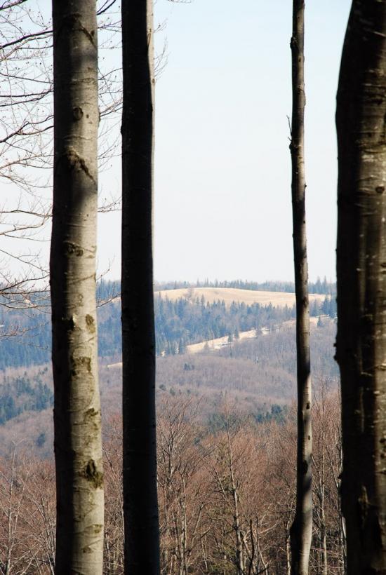 Букове з panoramio.com - Букове
